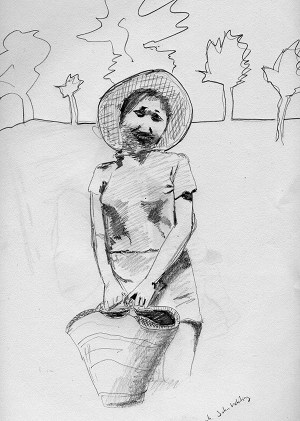 pencil sketch