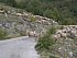 dscn4156.jpg