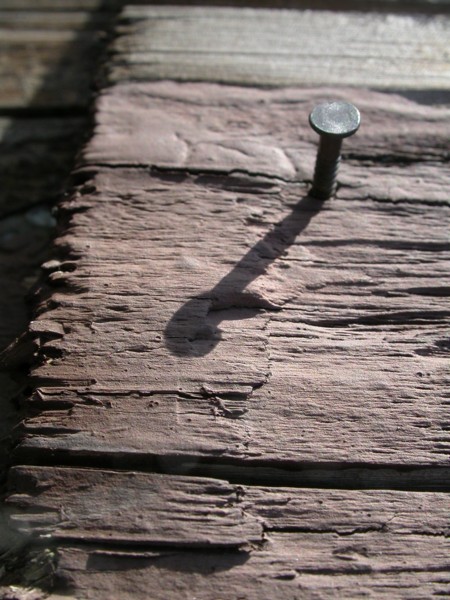nail in a telephone pole